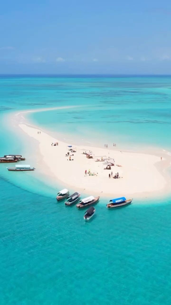 Seafood BBQ on sandbank