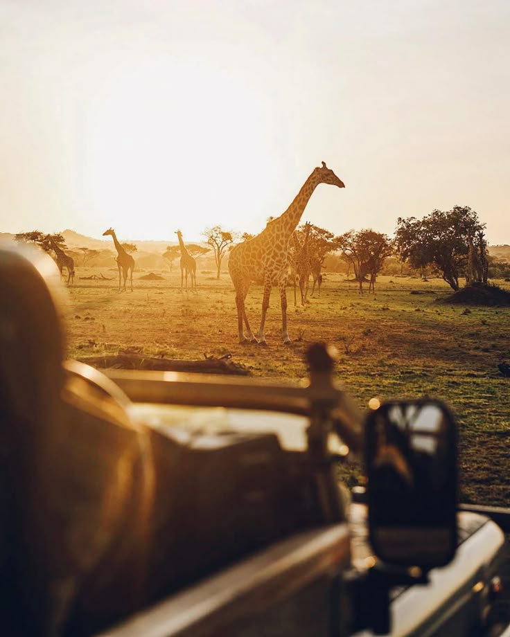 Manyara