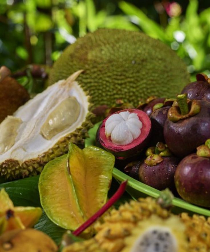 Spice Farm tour